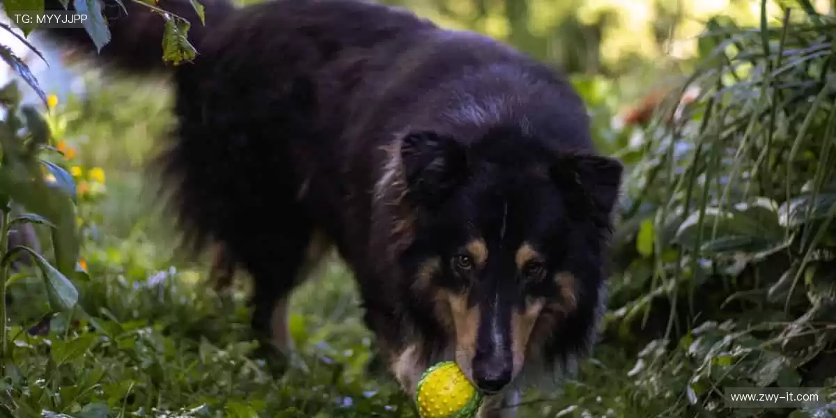 从赛场到生活，用专业守护你的热爱！❤️‍🔥🎯